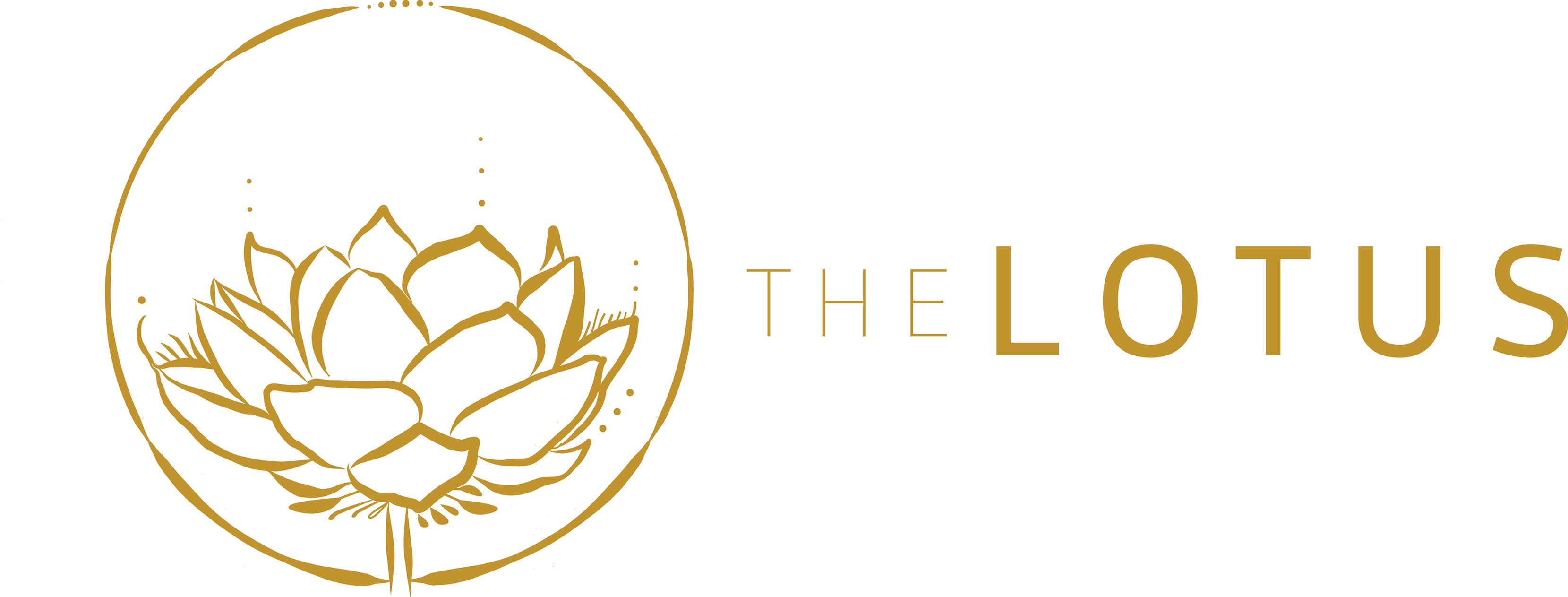 The Lotus Spokane